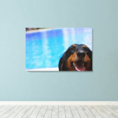 Sluiting van een Dachshund-hond Canvas Afdruk (Insitu (Houten vloer))