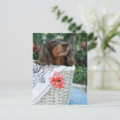 Sluiting van een Dachshund-hond in een mand Briefkaart (Staand voorkant)