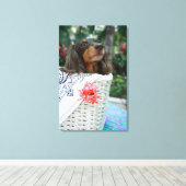 Sluiting van een Dachshund-hond in een mand Canvas Afdruk (Insitu (Houten vloer))