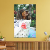 Sluiting van een Dachshund-hond in een mand Canvas Afdruk (Insitu (Woonkamer))