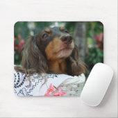 Sluiting van een Dachshund-hond in een mand Muismat (Met muis)