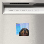 Sluiting van een Dachshund-hond Magneet (Insitu (Vaatwasser))