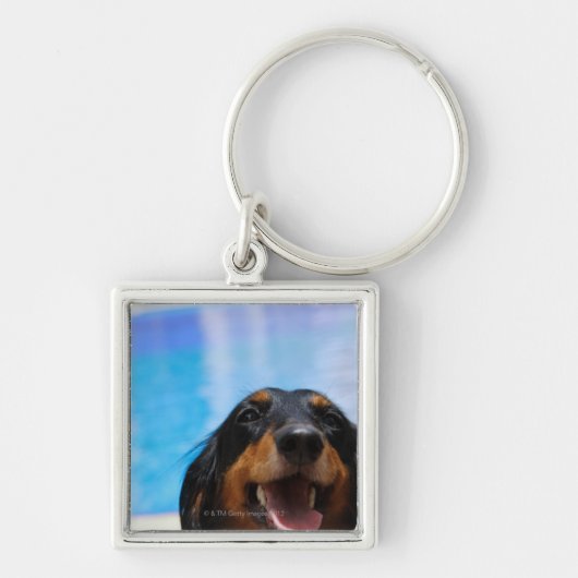 Sluiting van een Dachshund-hond Sleutelhanger (Voorkant)
