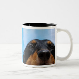 Sluiting van een Dachshund-hond Tweekleurige Koffiemok