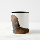 Sluiting van een dachshund tweekleurige koffiemok (Center)