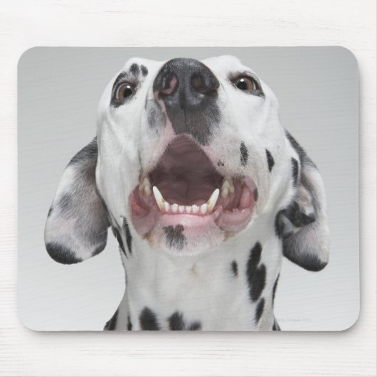 Sluiting van een Dalmatische hond Muismat (Voorkant)