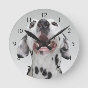 Sluiting van een Dalmatische hond Ronde Klok