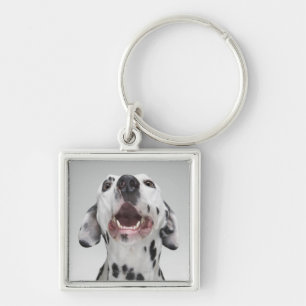 Sluiting van een Dalmatische hond Sleutelhanger