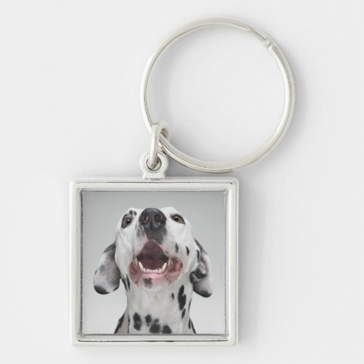 Sluiting van een Dalmatische hond Sleutelhanger (Voorkant)
