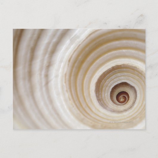 Sluiting van een dierenruim briefkaart (Voorkant)