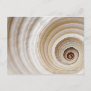 Sluiting van een dierenruim briefkaart