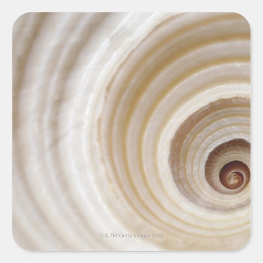 Sluiting van een dierenruim vierkante sticker (Voorkant)