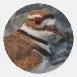 Sluiting van een dode hert ronde sticker