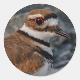 Sluiting van een dode hert ronde sticker