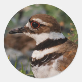 Sluiting van een dode hert ronde sticker