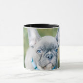 Sluiting van een Franse hond Mok (Midden)