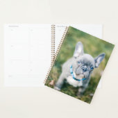 Sluiting van een Franse hond Planner (Display)