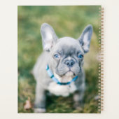 Sluiting van een Franse hond Planner (Achterkant)