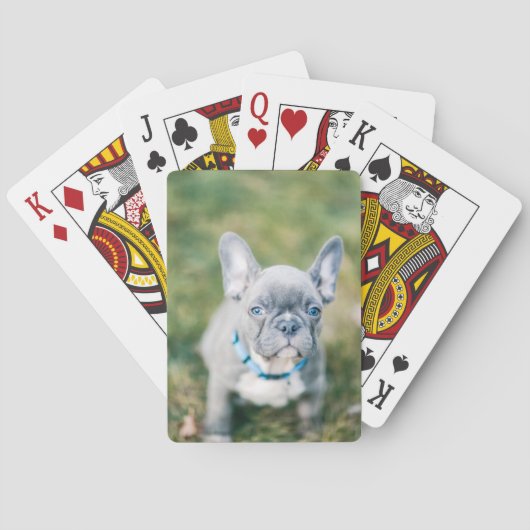 Sluiting van een Franse hond Pokerkaarten (Achterkant)