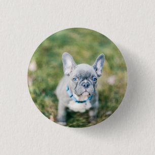 Sluiting van een Franse hond Ronde Button 3,2 Cm