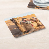 Sluiting van een grappige kameel in de woestijn va kartonnen onderzetters (Schuin)