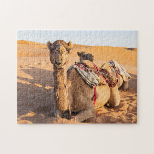 Sluiting van een grappige kameel in de woestijn va legpuzzel