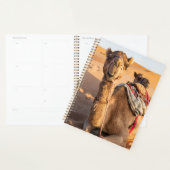 Sluiting van een grappige kameel in de woestijn va planner (Display)