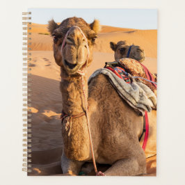 Sluiting van een grappige kameel in de woestijn va planner