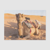 Sluiting van een grappige kameel in de woestijn va tissuepapier (Voorkant)
