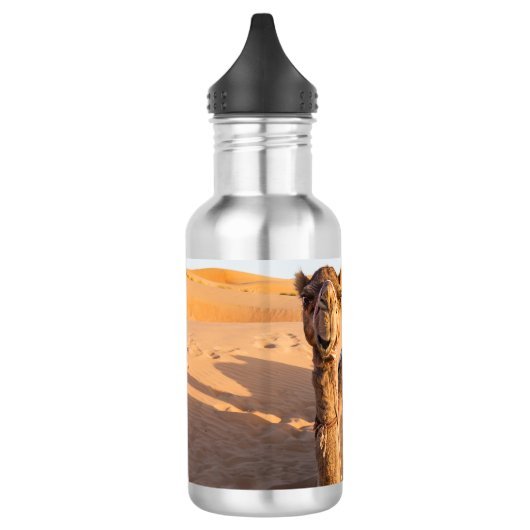 Sluiting van een grappige kameel in de woestijn va waterfles (Links)