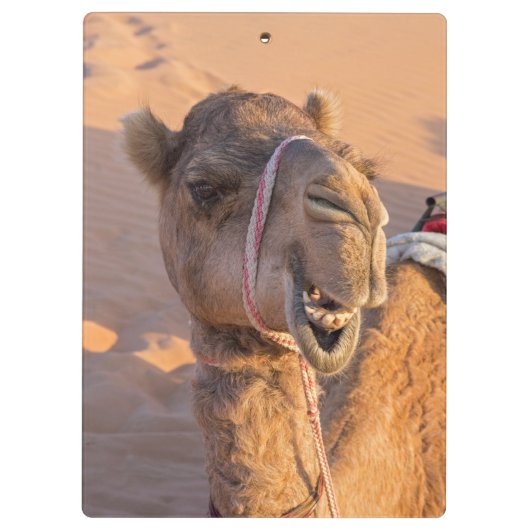 Sluiting van een grappige kamelenkop in de woestij klembord (Achterkant)