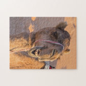 Sluiting van een grappige kamelenkop in de woestij legpuzzel (Horizontaal)