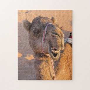 Sluiting van een grappige kamelenkop in de woestij legpuzzel