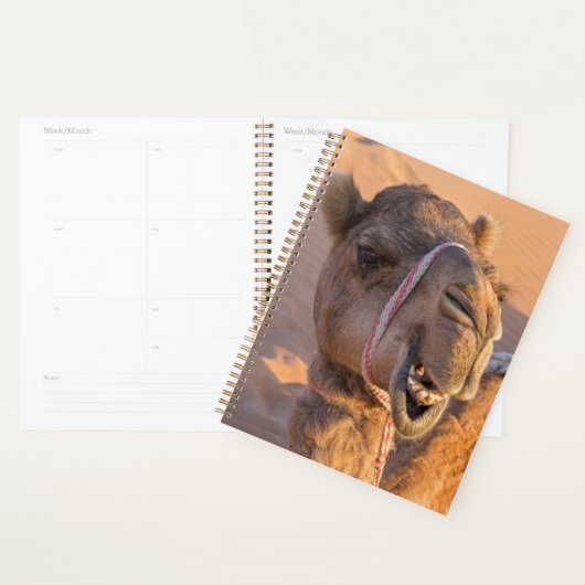 Sluiting van een grappige kamelenkop in de woestij planner (Display)
