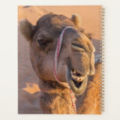 Sluiting van een grappige kamelenkop in de woestij planner (Achterkant)