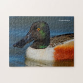 Sluiting van een Handsome Northern Shoveler Duck Legpuzzel (Horizontaal)