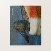 Sluiting van een Handsome Northern Shoveler Duck Legpuzzel (Verticaal)