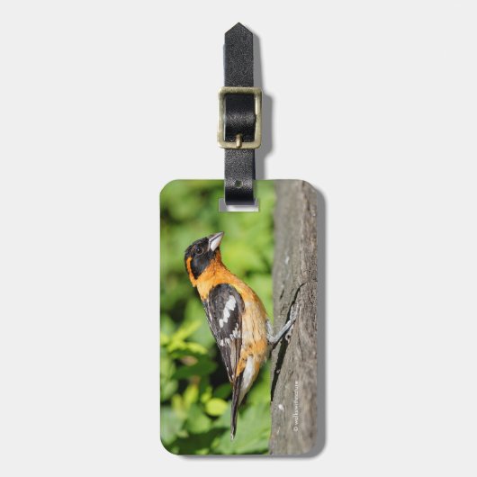 Sluiting van een handvat met zwarte kop bagagelabel (Voorkant verticaal)