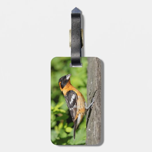 Sluiting van een handvat met zwarte kop bagagelabel (Achterkant verticaal)