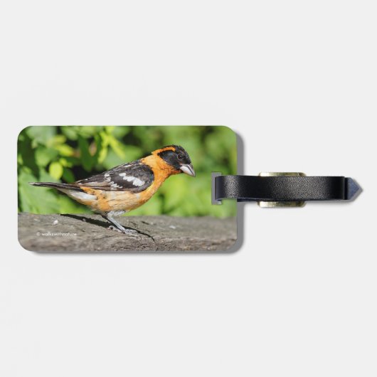 Sluiting van een handvat met zwarte kop bagagelabel (Achterkant horizontaal)