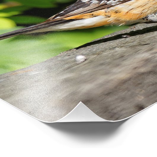 Sluiting van een handvat met zwarte kop foto afdruk (Hoek)