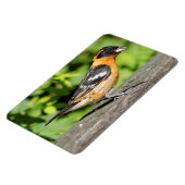 Sluiting van een handvat met zwarte kop magneet (Linkerzijde)