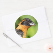 Sluiting van een handvat met zwarte kop ronde sticker (Envelop)