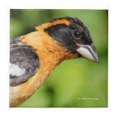 Sluiting van een handvat met zwarte kop tegeltje (Voorkant)