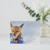 Sluiting van een hond briefkaart (Staand voorkant)