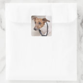 Sluiting van een hond die een stropdas aandoet vierkante sticker (Tas)
