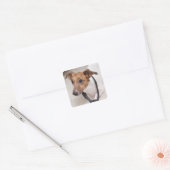 Sluiting van een hond die een stropdas aandoet vierkante sticker (Envelop)