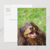 Sluiting van een hond uit Dachshund Briefkaart (Voorkant / Achterkant)