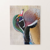 Sluiting van een ijsbad legpuzzel (Verticaal)