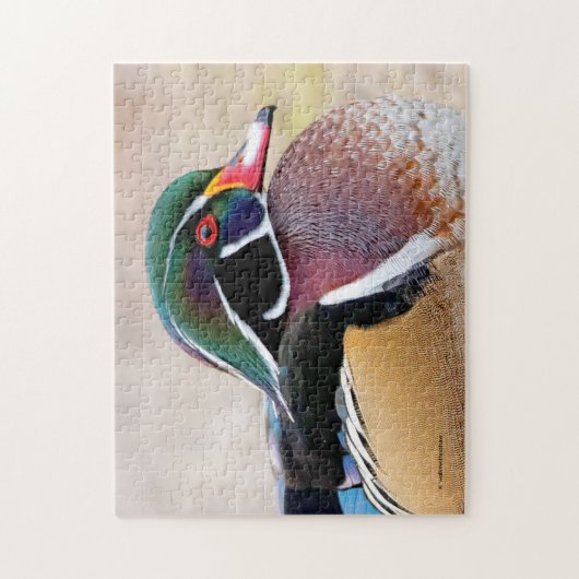 Sluiting van een ijsbad legpuzzel (Verticaal)